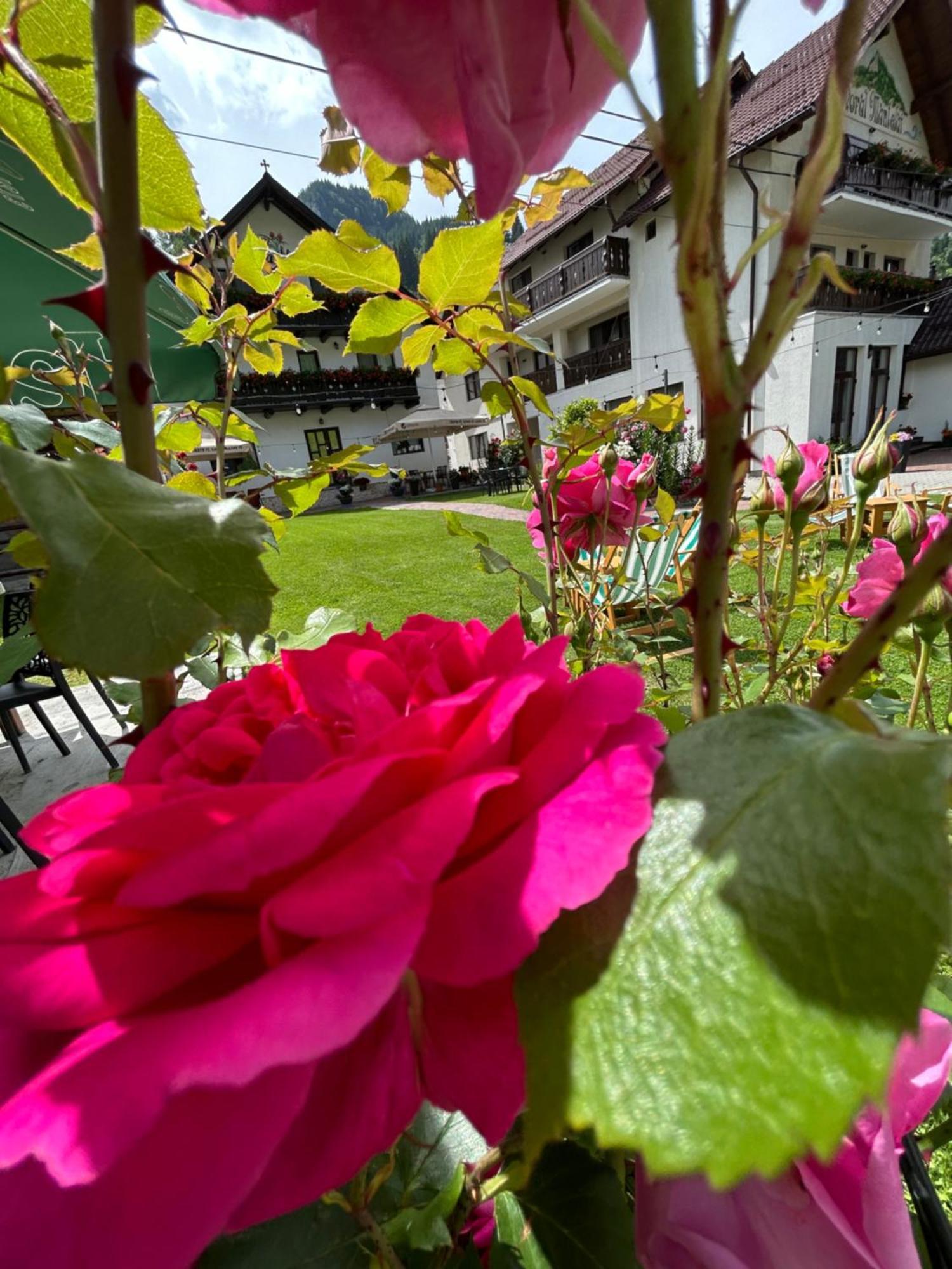 Casa Mia Hotel Moeciu De Sus Bagian luar foto