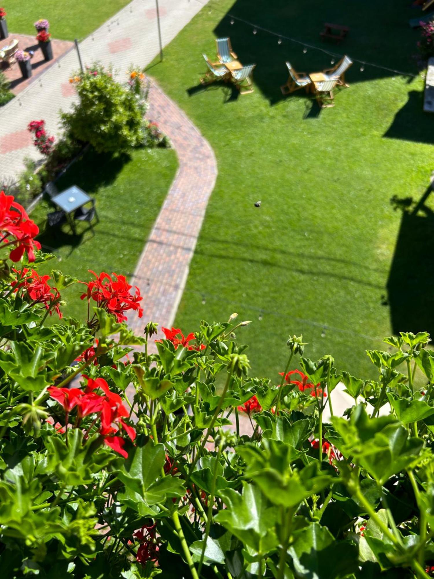 Casa Mia Hotel Moeciu De Sus Bagian luar foto
