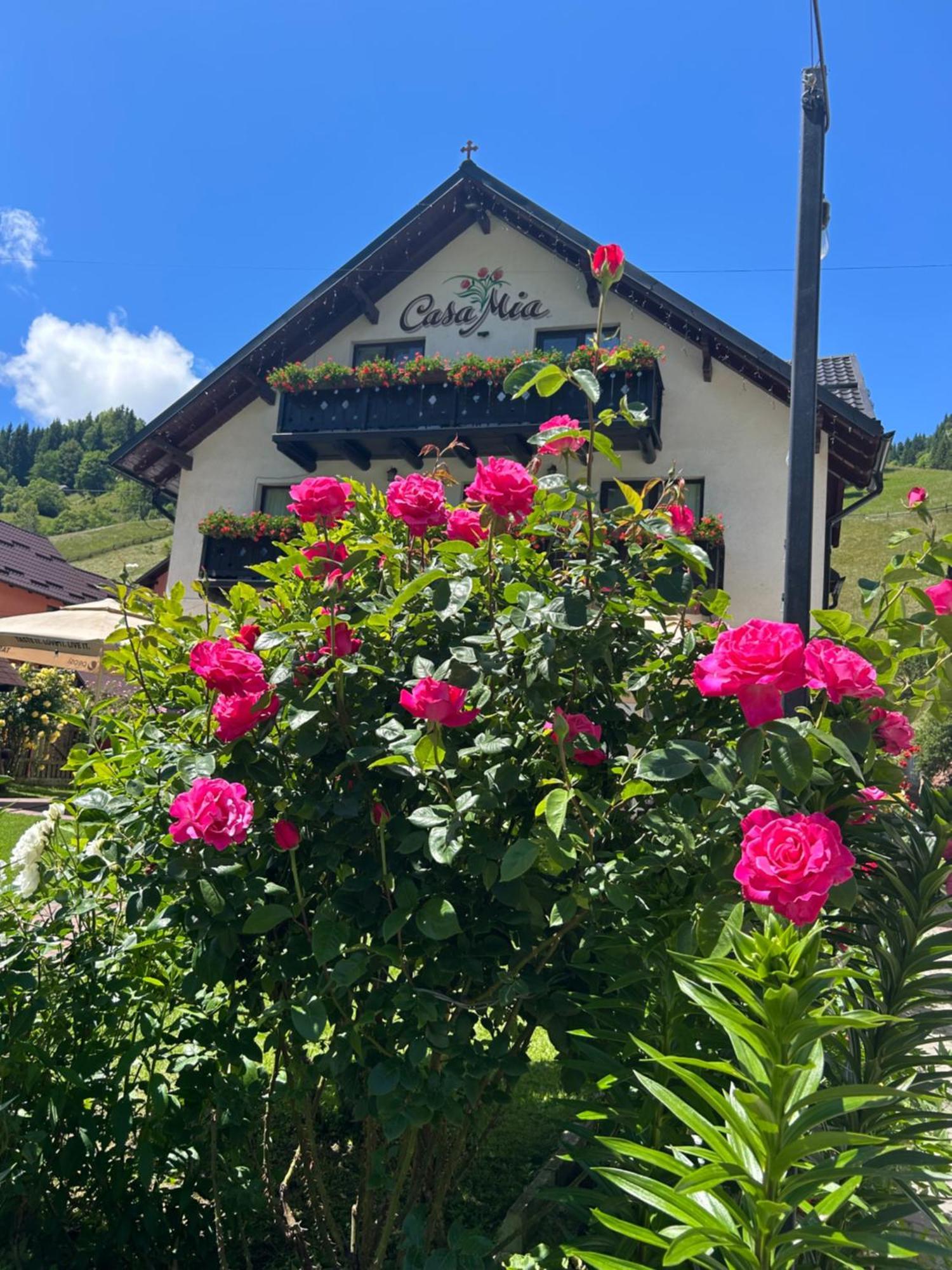 Casa Mia Hotel Moeciu De Sus Bagian luar foto